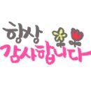 라인핏발레학원 이미지