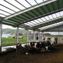 진규목장 이미지