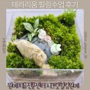 힐링원예 | 원예치료 원예치유 전문센터 시크릿힐링원예 테라리움 힐링수업 후기