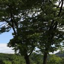 한솔공원 이미지