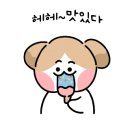 영양언니의 수제간식 이미지