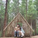 문막당구장 | 임신 11주3일)) 태교여행, 용평리조트, 발왕산케이블카, 애니포레