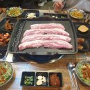 호공돼지