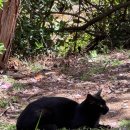 민주 | 부산 민주공원 겹벚꽃 개화상황 나들이 후기