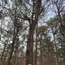 구룡체육관 | 안산여행 구룡산 등산 후기