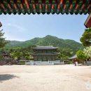 산청한방가족호텔(주) 이미지