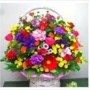 백민약국 이미지