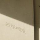 프루페 이미지