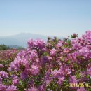 춘하추동 이미지