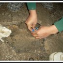 남일상회 이미지