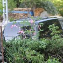 미사리촌집 이미지