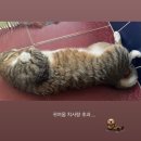 카페145샵 이미지