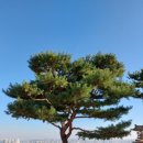 수원-1592 이미지