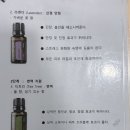 포톤테라