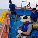 참새콘도민박 이미지