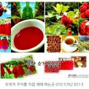 선매운탕 이미지