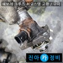 구미라지에타 티스토리