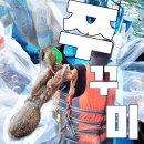 연안부두로 | 인천제일바다낚시 금강스타호 쭈꾸미 배낚시 후기 | 초보 여자 셋의 갑오징어 도전기