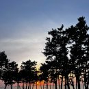 롯데슈퍼 안면도점 이미지