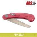 아루스 이미지
