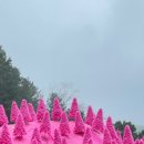 국일여관 이미지