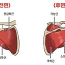 아주척마디의원 이미지