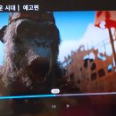 Kingdom of The Planet of The Apes 2024 이미지