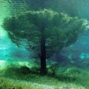 헤어카페 이미지