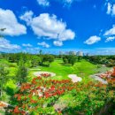 파라다이스골프장 이미지