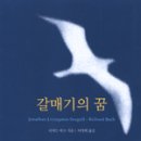 갈매기의 꿈 이미지