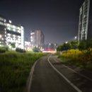 천안천 | 🌿 천안 시민들의 힐링 산책 코스, 천안천 힐링 스팟