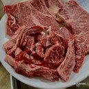 털보식육식당 | 강원도정선여행/정선1박2일/우정여행)2.황소식육실비식당/강원랜드카지노/메밀촌막국수/카페...