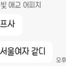 마이댕 이미지