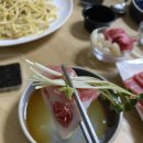 인생참치 이미지