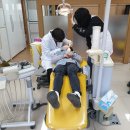 내성초등학교 이미지