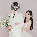 아무르먼트