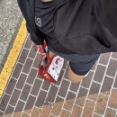 정수자원 | [일상] 2026 큰별하프마라톤 후기를 곁들인 하루