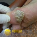 송미사 - 제주시 한수풀로 142 | 송미사