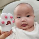 심통 | 치발기 사용시기 3개월 아기 주먹고기 심통글러브치발기 사용 후기