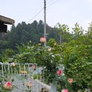 에덴-가 이미지