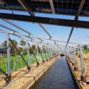 덕이2 태양광발전소 이미지