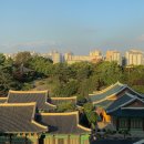 최용선 | 서울신라호텔 호캉스 후기(영빈관뷰/어반아일랜드수영장/디럭스트윈/룸서비스메뉴)