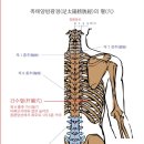 모든 신경과 근육을 족궐음간경으로 다스리는 임상시술세미나 후기 이미지