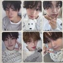 STEADY(스테디) 이미지