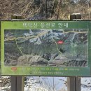 평창 운교리 밤나무 | 백덕산 (강원 영월) 등산 후기｜운교리 먹골코스 겨울 설산 산행과 문재터널 하산