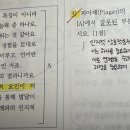 Re: 진모 246p 인지적 상호작용주의 이미지