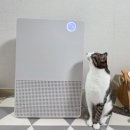 청정에너지 주유소 공중화장실 | 쿠쿠 인스퓨어 브릭2 공기청정기 솔직 후기ㅣ고양이 키우는 집 강력추천