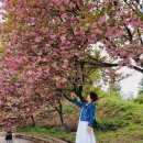 늘푸른전당 이미지