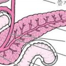 카톡으로 받은 "췌장 구하기" ~ 이미지