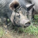 수훈농장 이미지